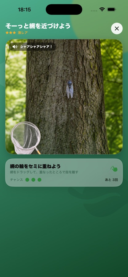 ぼくのせみとりの画面 2
